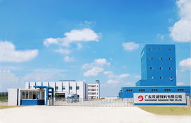 廣東中匯食品股份 引領食品行業(yè)創(chuàng)新與發(fā)展的先鋒