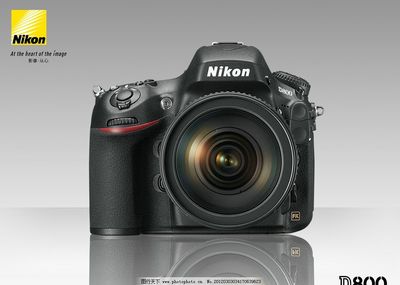 尼康D800 專業(yè)全畫幅數(shù)碼單反的卓越之選