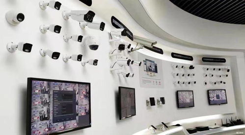 多方聯動，凝聚發展新動能 長視科技攜手阿里云精工，全面啟動數字工廠項目